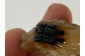 Sculpture petite Cloche en Agate chinoise, début XXème